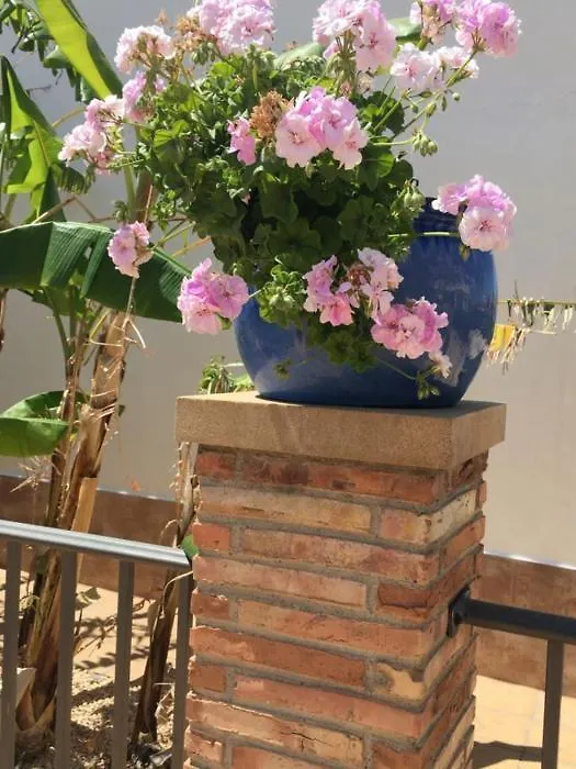 Apartamento Turistico Los Llanos 8 Cuevas del Almanzora