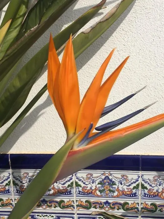 Apartamento Turistico Los Llanos 8 Cuevas del Almanzora España